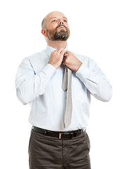 Image showing business man tie