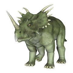 Image showing Dinosaur Styracosaurus