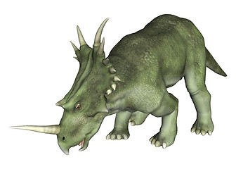 Image showing Drinking Dinosaur Styracosaurus