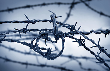 Image showing Barbed Wire