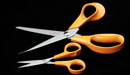 Image showing Scissors