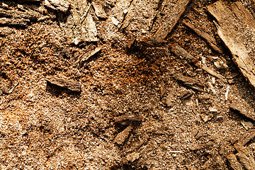 Image showing Sawdust