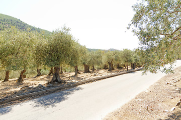 Image showing Grece, Thassos