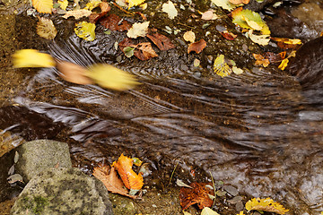 Image showing Lake in autumn