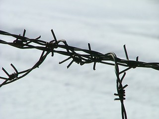 Image showing detail of a fence