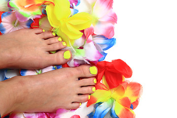 Image showing women feets and flowers (pedicure tbackground)