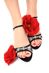 Image showing women feets and flowers (pedicure tbackground)