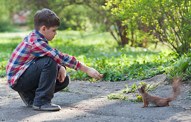 Image showing Little boy and squirrel