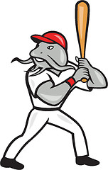 Image showing Catfish Baseball Hitter Batting Full Isolated Cartoon 