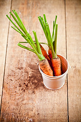 Image showing fresh carrots bunch in white bucket 