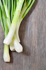Image showing bunch of spring onions