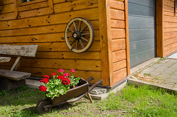 Image showing wheelbarrow pelargonium rural garden decoration 