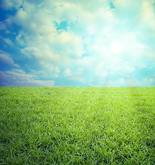 Image showing Field of grass,blue sky