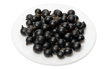 Image showing Blackcurrant 