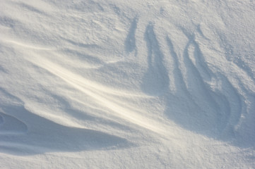 Image showing Snow patterns 