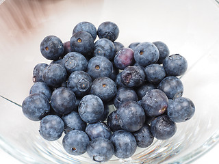Image showing Blueberry bowl