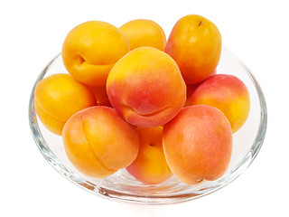 Image showing Apricot