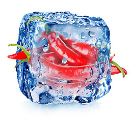 Image showing Hot pepper in ice cube