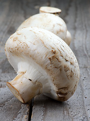 Image showing Big Raw Champignons