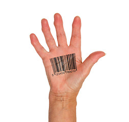 Image showing Open hand with barcode