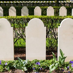 Image showing Rows of tombstones