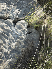 Image showing stones and grass on the island