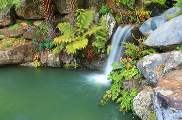 Image showing Waterfall and lagoon at Mt Tomah NSW Australia