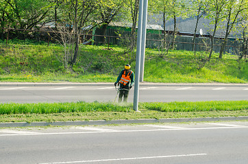 Image showing worker with protective mask cuts grass pavement 