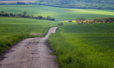 Image showing Spring landscape and road