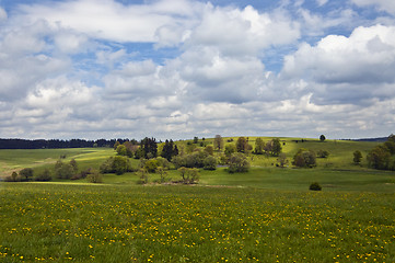 Image showing Spring landscape