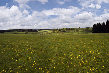 Image showing Spring landscape