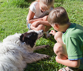 Image showing Children and the dog in grass