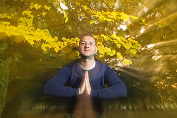 Image showing Namaste greeting