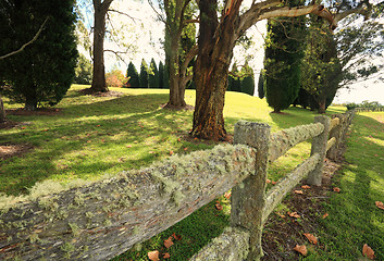 Image showing Lichen covered fence