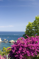 Image showing coastal scene with flowers sicily