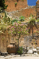 Image showing garden taormina sicily