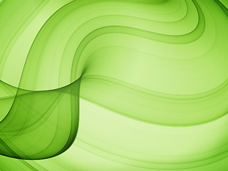 Image showing olive curves