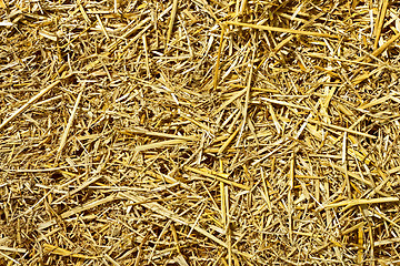 Image showing Roughly chopped wheat straw