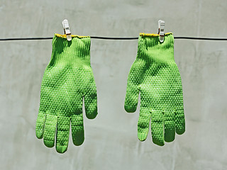 Image showing Green gloves hanging on a wire in the sunlight