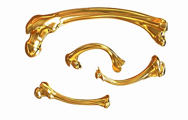 Image showing Set of gold bone 