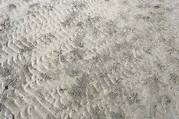 Image showing footprints in the sand