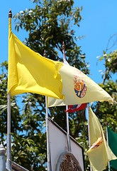 Image showing yellow flag