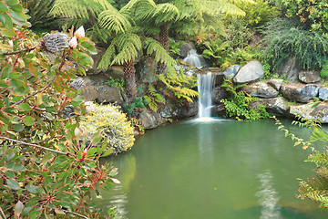 Image showing Tranquil waterfall in lush environment Mt Tomah Australia