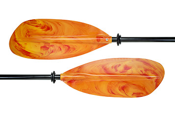 Image showing colorful kayak paddle 