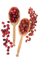 Image showing Cranberry Fruit