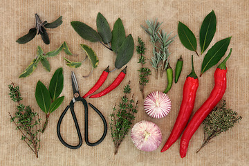 Image showing Fresh Herbs