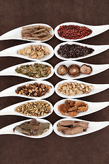 Image showing Chinese Yang Herbs