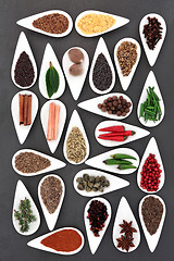 Image showing Spice and Herb Selection