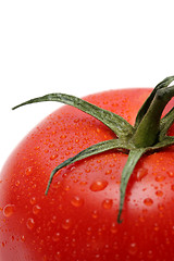 Image showing tomato macro