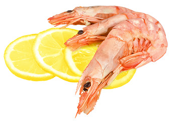 Image showing Boiled shrimp